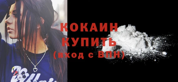 СК Зерноград