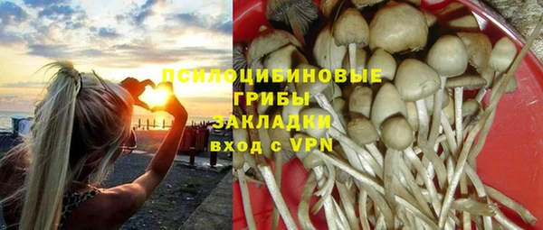 apvp Зеленодольск