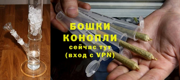 СК Зерноград