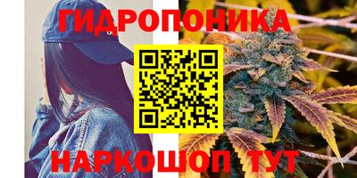 кокс Гай