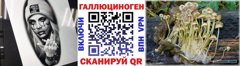 наркошоп Звенигород Галлюциногенные грибы мухоморы