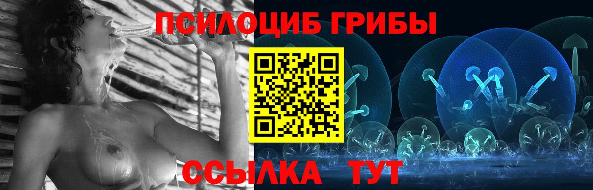 Псилоцибиновые грибы Psilocybine cubensis  Вход с VPN  Звенигород 