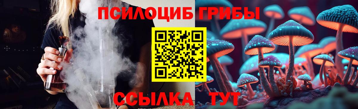 Галлюциногенные грибы мухоморы Звенигород